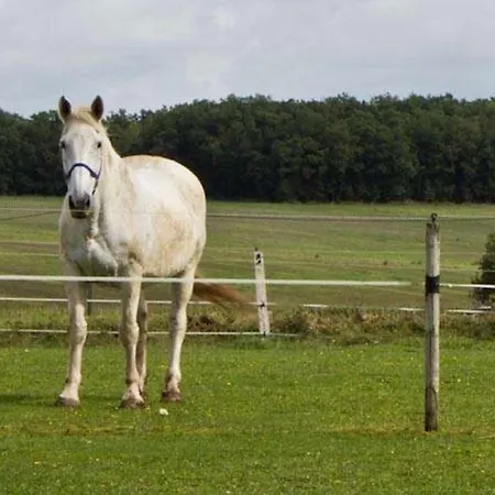 Daire L'ecurie *